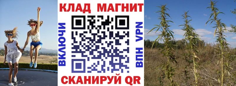 Купить закладку СК Бошки Шишки COCAIN МЕФ ГАШИШ Жиздра