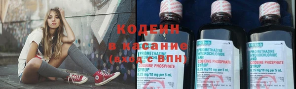 прущие крисы Гусев