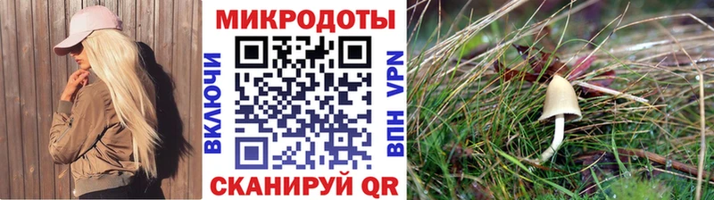 Псилоцибиновые грибы Magic Shrooms  Купить  Жиздра 